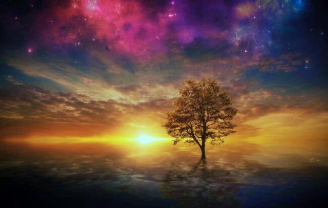 Surreal tree in lake